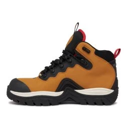 DC Navigator Winter Boots 2021-2022 13 DC Navigator Winter Boots 2021-2022 -Ski clothing for me! New DC 12W navigator m boot 12w884555273