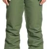 Roxy Ladies Backyard Pant 2020-2021
